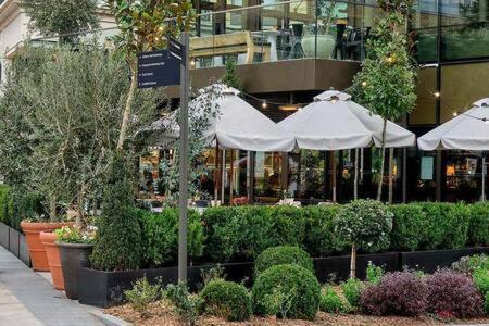 Beautiful Apartment Overlooking A Garden London Eksteriør billede